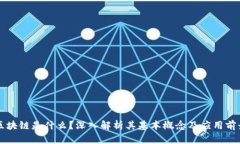 区块链是什么？深入解析其基本概念及应用前景