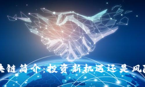 ICO区块链简介：投资新机遇还是风险陷阱？