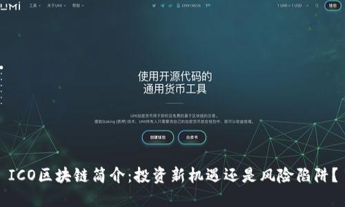 ICO区块链简介：投资新机遇还是风险陷阱？