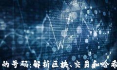区块链中的号码：解析区块、交易和哈希值的关