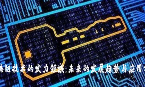 区块链技术的发力领域：未来的发展趋势与应用分析