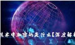 区块链技术中加密的是什么？深度解析与应用