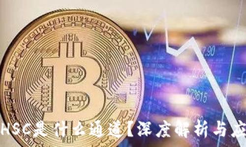   
区块链HSC是什么通道？深度解析与应用前景