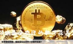 区块链领域最受欢迎的软件及其应用分析