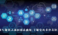 深入解析上海树图区块链：了解它的币种与潜力