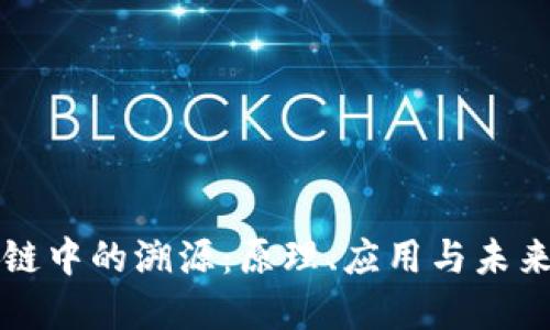 区块链中的溯源：原理、应用与未来发展