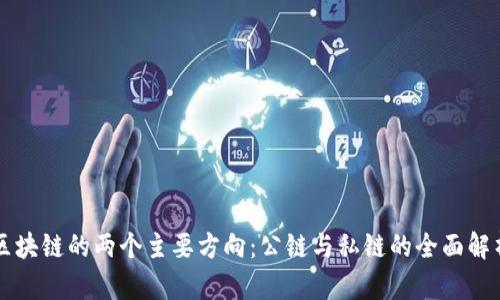 区块链的两个主要方向：公链与私链的全面解析