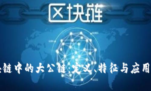区块链中的大公链：定义、特征与应用解析