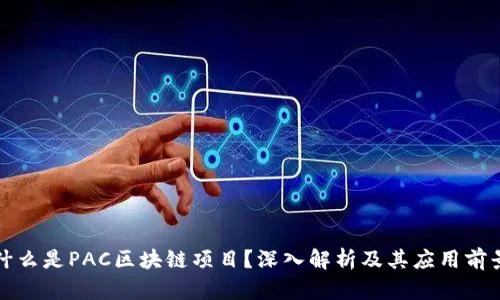 什么是PAC区块链项目？深入解析及其应用前景
