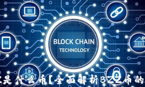
区块链BZZ是什么币？全面解析BZZ币的未来与价值