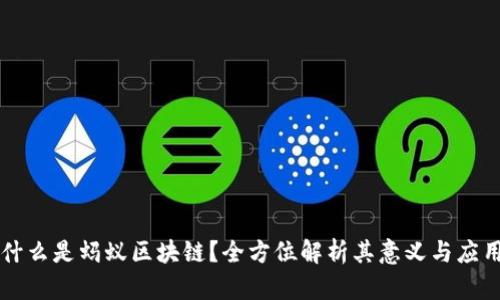 什么是蚂蚁区块链？全方位解析其意义与应用