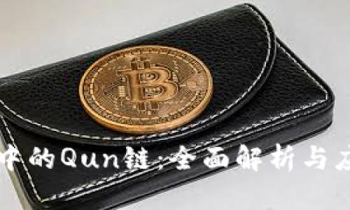 区块链中的Qun链：全面解析与应用前景