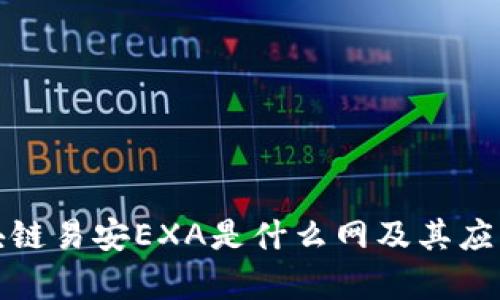 : 区块链易安EXA是什么网及其应用解析