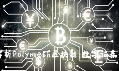 深入解析Polymesh区块链：数字证券的未来